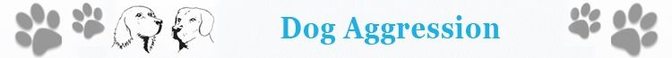 Dog Aggression